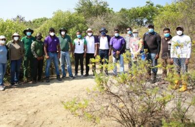 Hemas champions its mangrove restoration project on World Wetlands Day