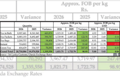 Tea exports record strong start to 2026