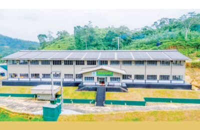 Sri Lankan tea brand secures highest price