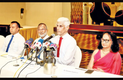 Oil palm stakeholders urge resuming cultivation