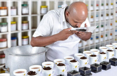 Tea auction volumes rise as strong rupee weighs on high-grown prices