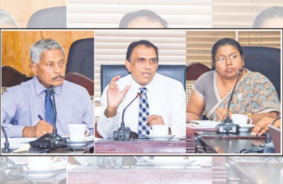 Stakeholder discussion for development of Sri Lankan Cashew Sector